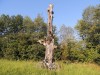 A Fehéres-patak vízesései Útban a patakmeder felé Fehéres patak Székelyudvarhely